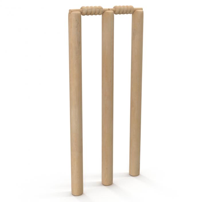 Cricket Wicket 3D model