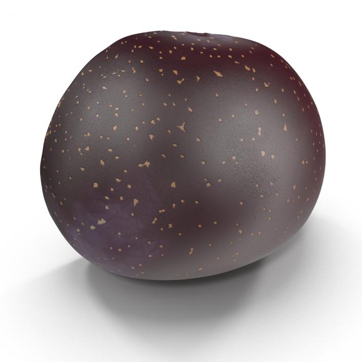 3D Plum Half 6