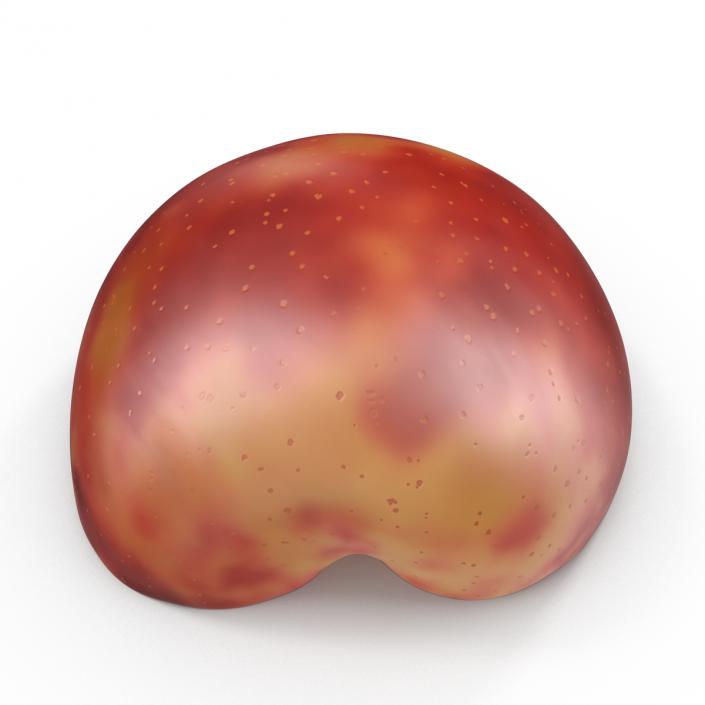 3D Plum Half 2