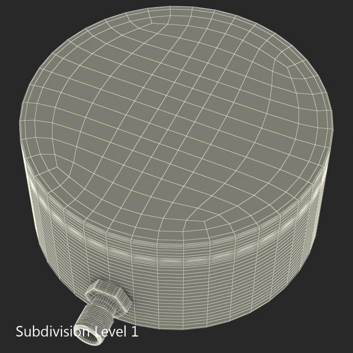 Pressure Gauge 3D model