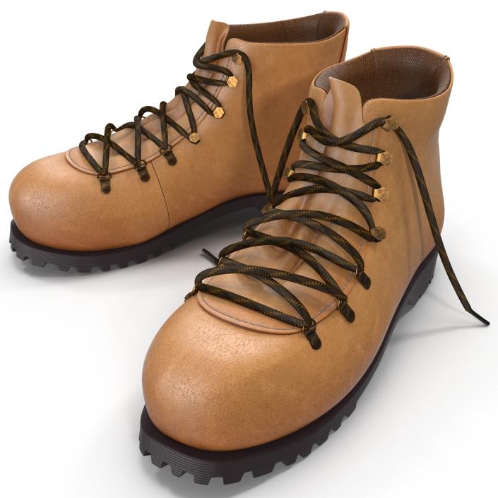 Hiking Boots 3D