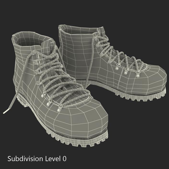 Hiking Boots 3D