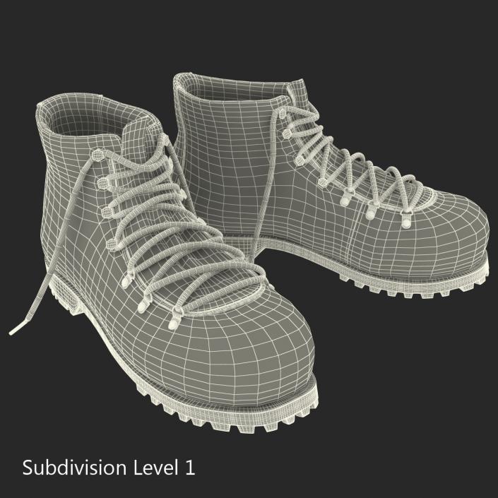 Hiking Boots 3D