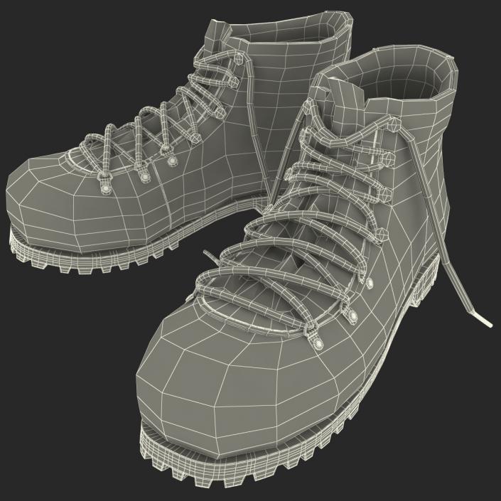 Hiking Boots 3D