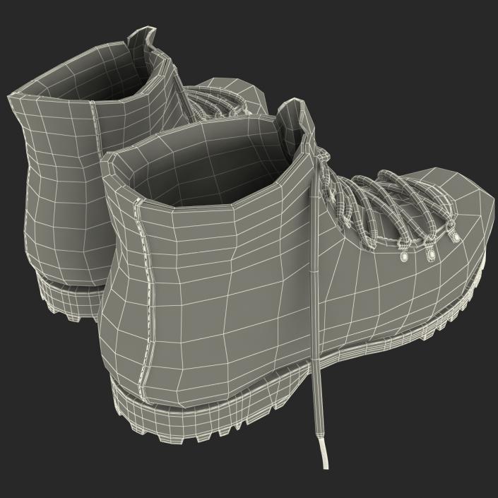 Hiking Boots 3D