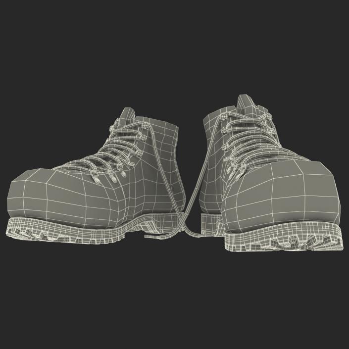 Hiking Boots 3D