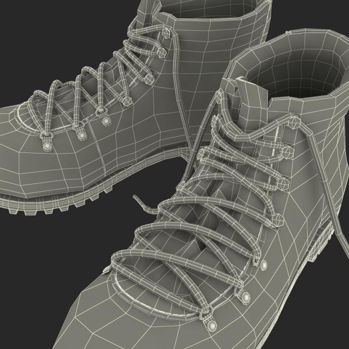 Hiking Boots 3D