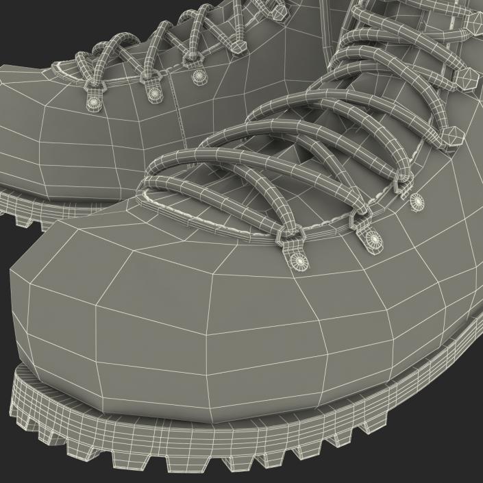 Hiking Boots 3D