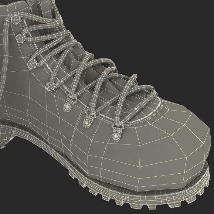 Hiking Boots 3D