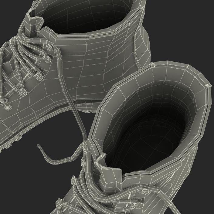 Hiking Boots 3D