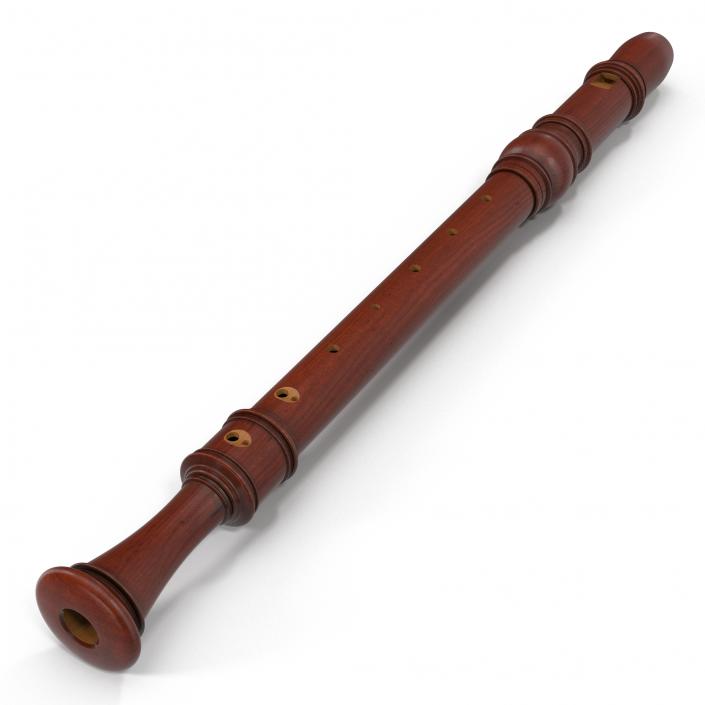 Recorder Musical Instrument 3D