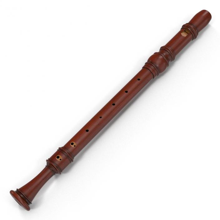 Recorder Musical Instrument 3D