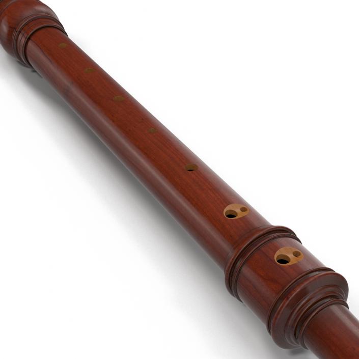 Recorder Musical Instrument 3D