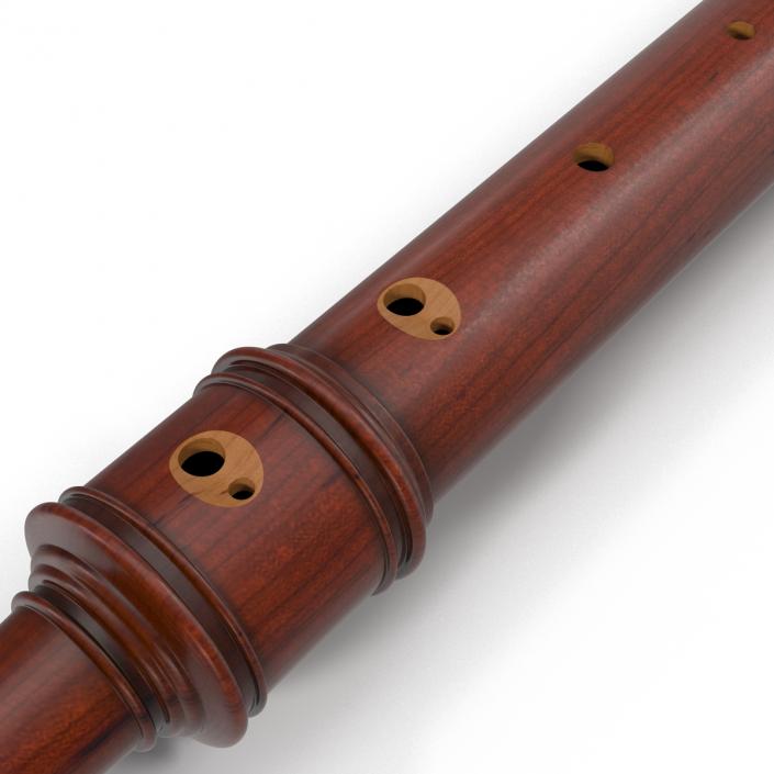 Recorder Musical Instrument 3D