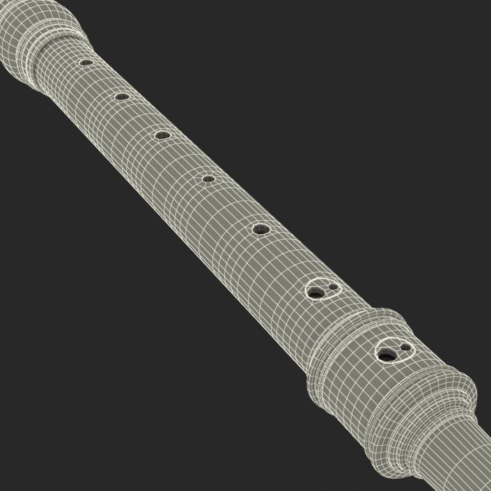 Recorder Musical Instrument 3D