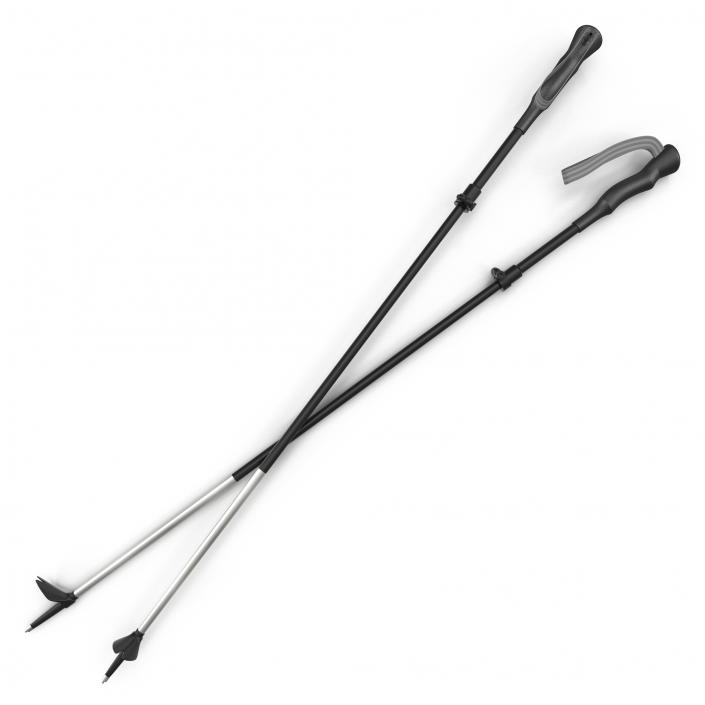 3D model Hiking Poles Generic