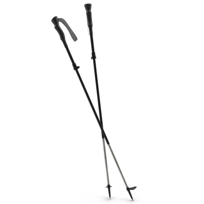 3D model Hiking Poles Generic