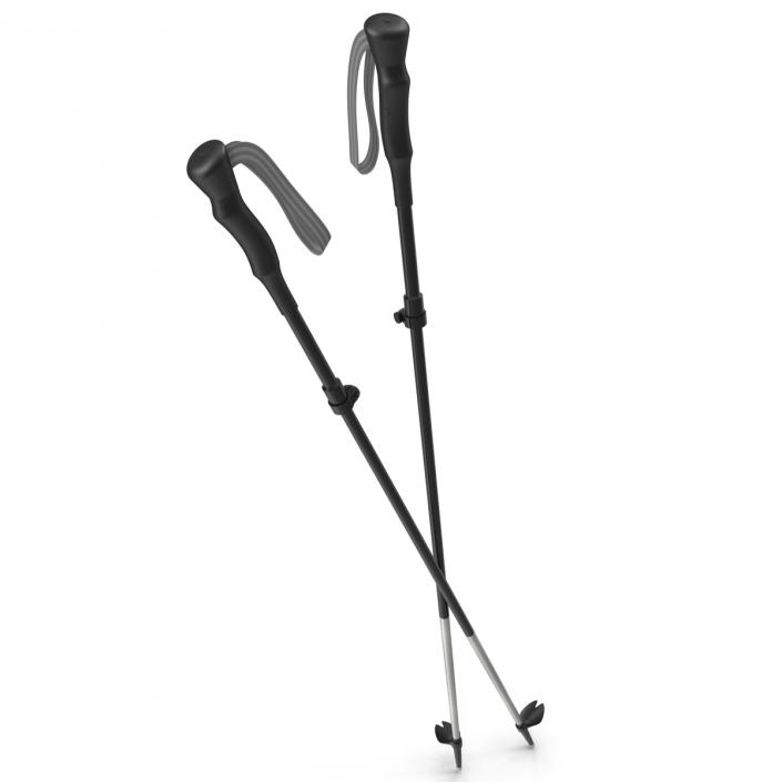 3D model Hiking Poles Generic