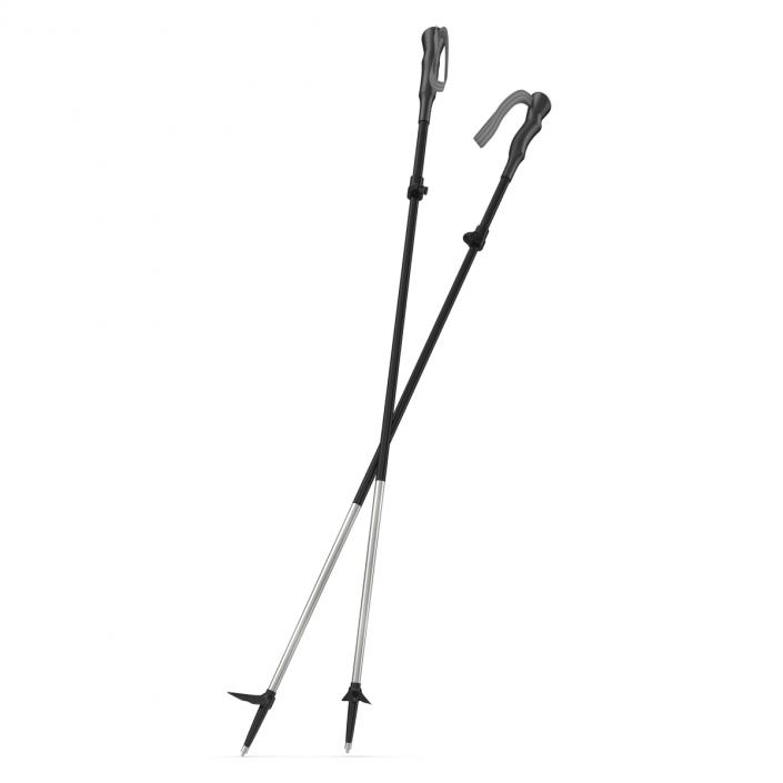 3D model Hiking Poles Generic