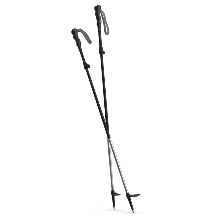 3D model Hiking Poles Generic