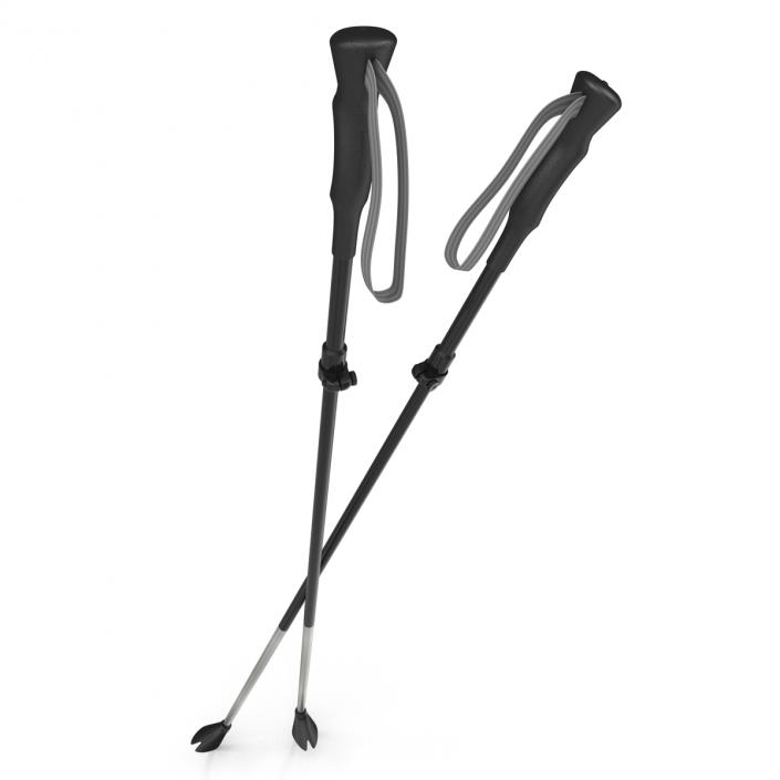 3D model Hiking Poles Generic