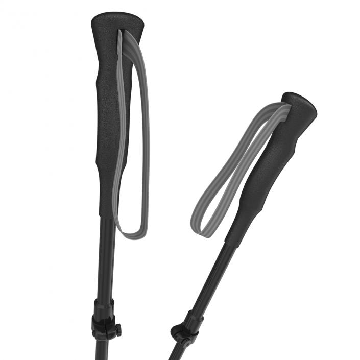 3D model Hiking Poles Generic