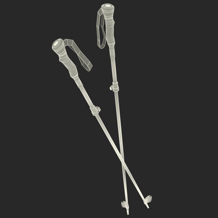 3D model Hiking Poles Generic