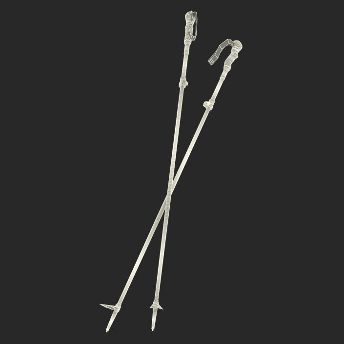 3D model Hiking Poles Generic