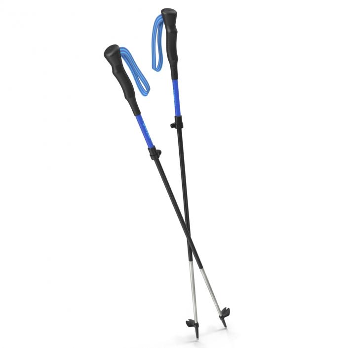 Hiking Poles Wind 3D