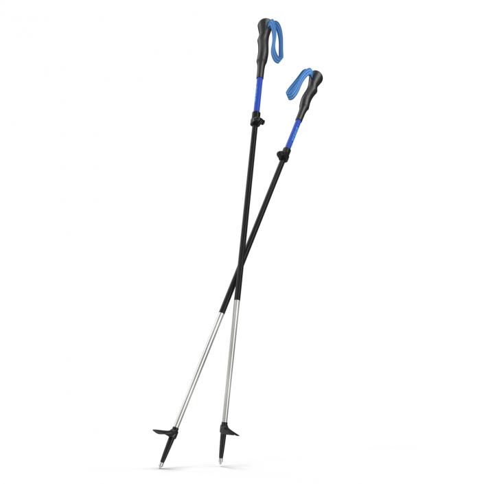 Hiking Poles Wind 3D