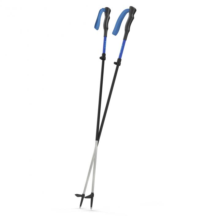 Hiking Poles Wind 3D