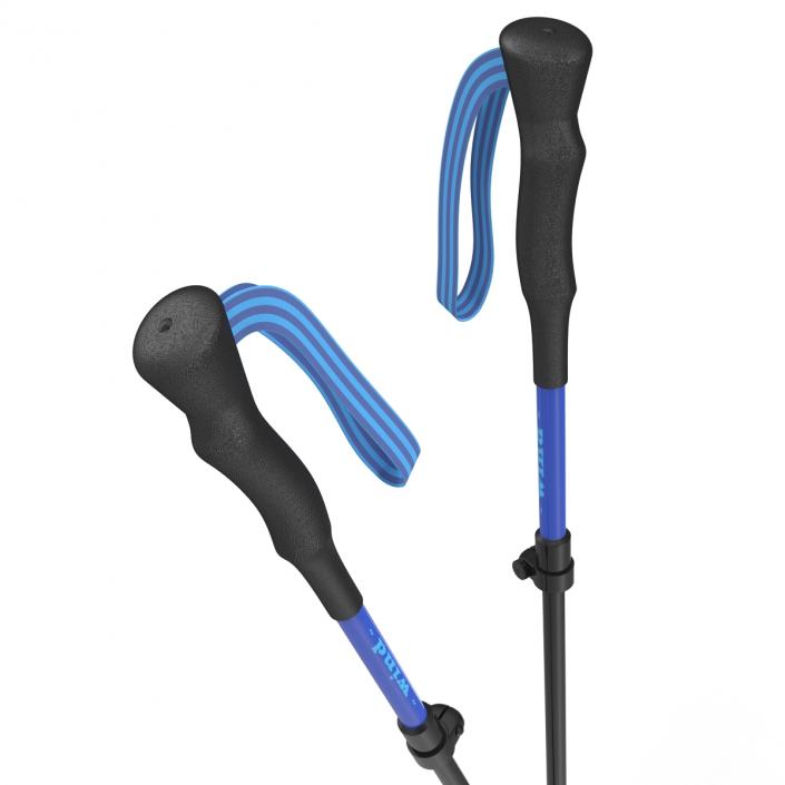 Hiking Poles Wind 3D