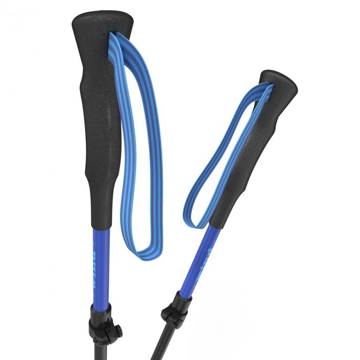 Hiking Poles Wind 3D