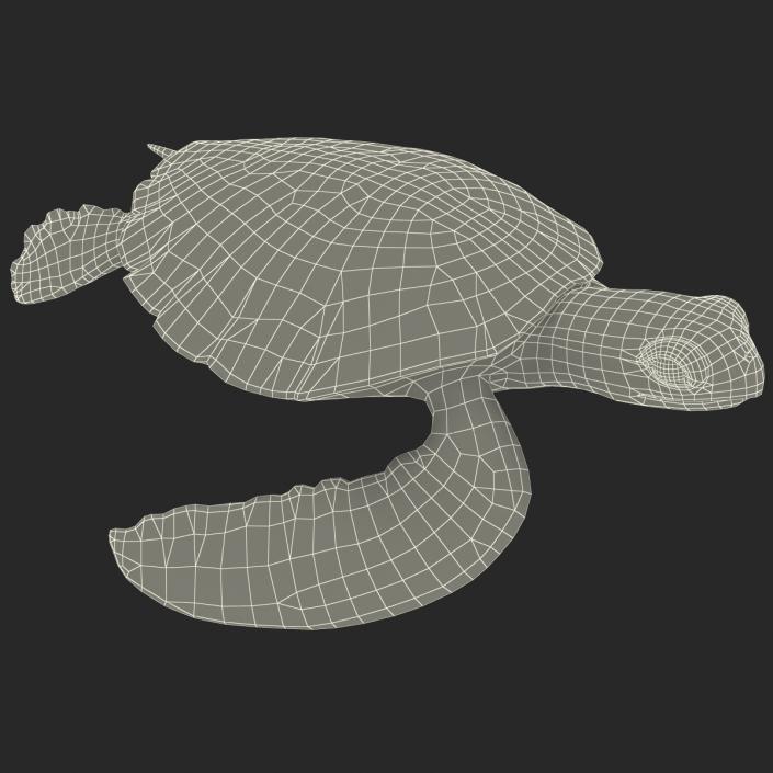 Sea Turtle Pose 2 3D