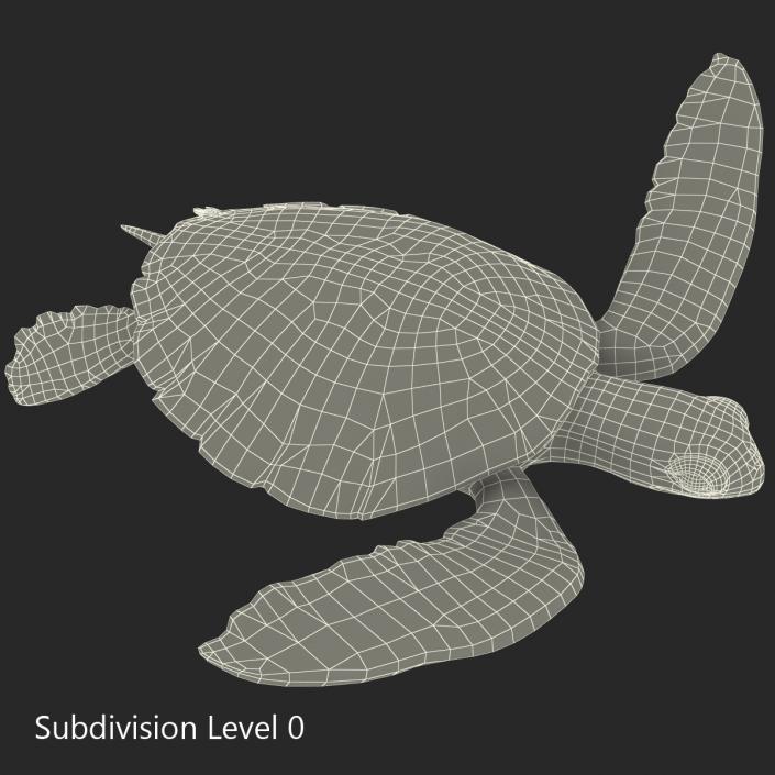 Sea Turtle Pose 3 3D