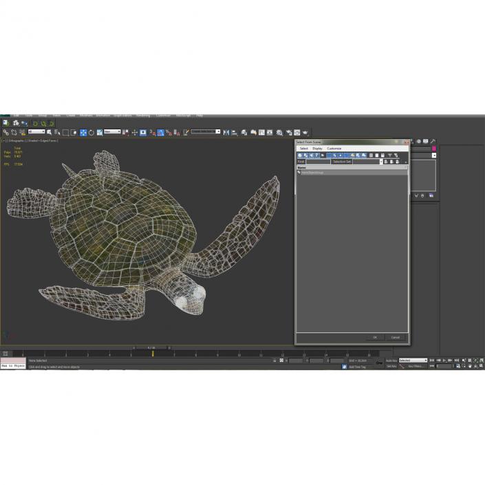 Sea Turtle Pose 3 3D