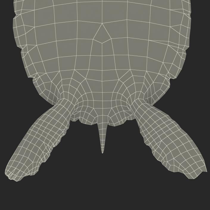 Sea Turtle Pose 3 3D