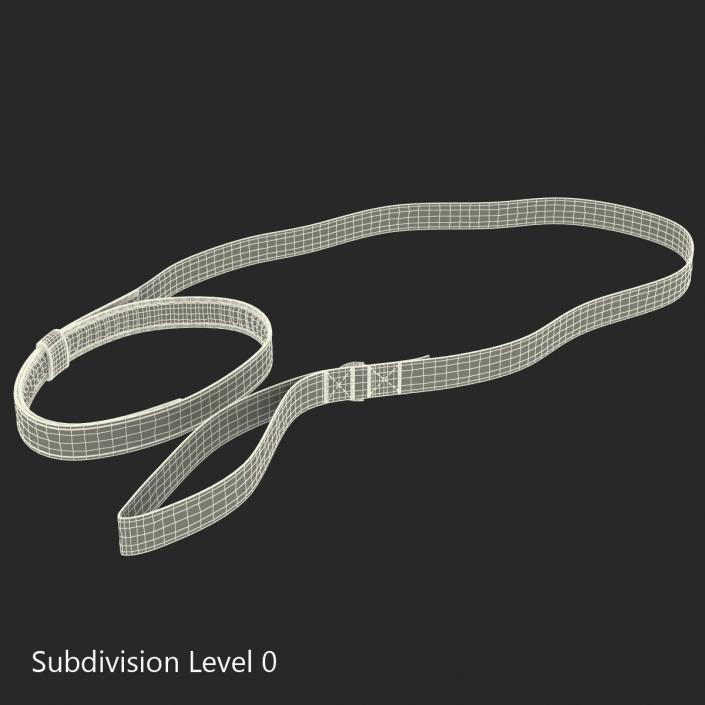 Dog Leash 3D model