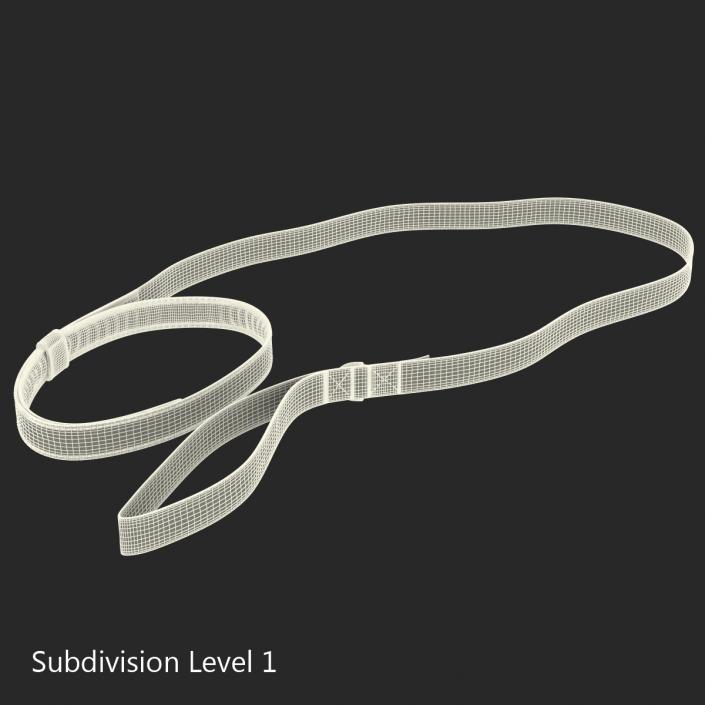 Dog Leash 3D model