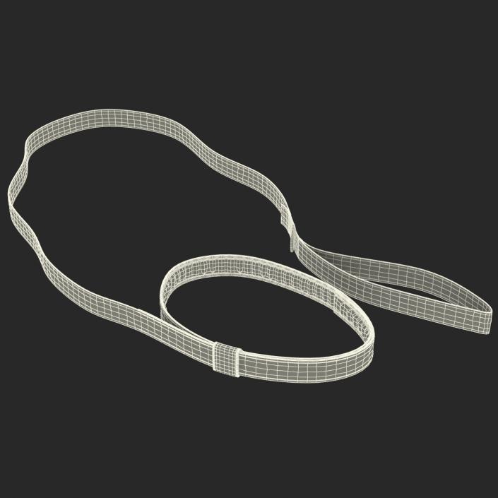 Dog Leash 3D model