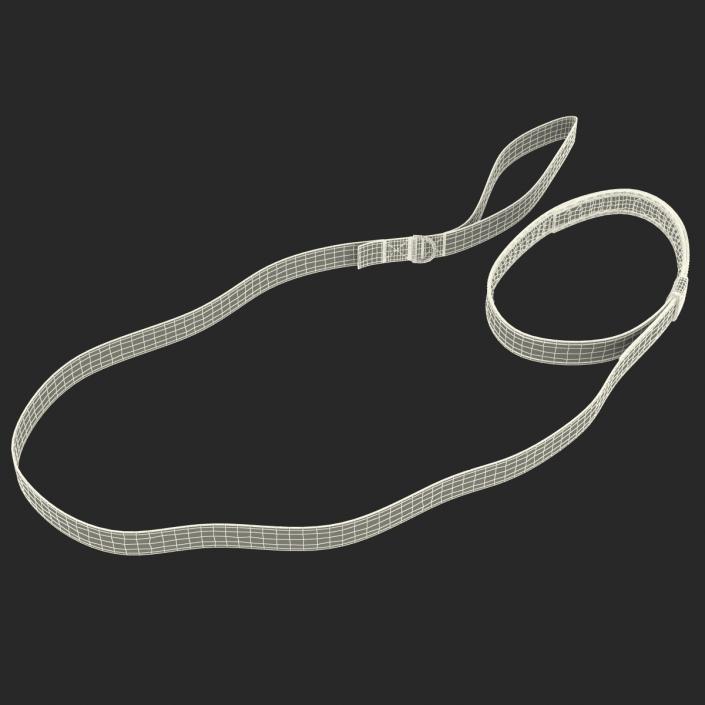 Dog Leash 3D model