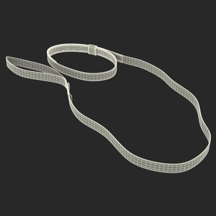 Dog Leash 3D model