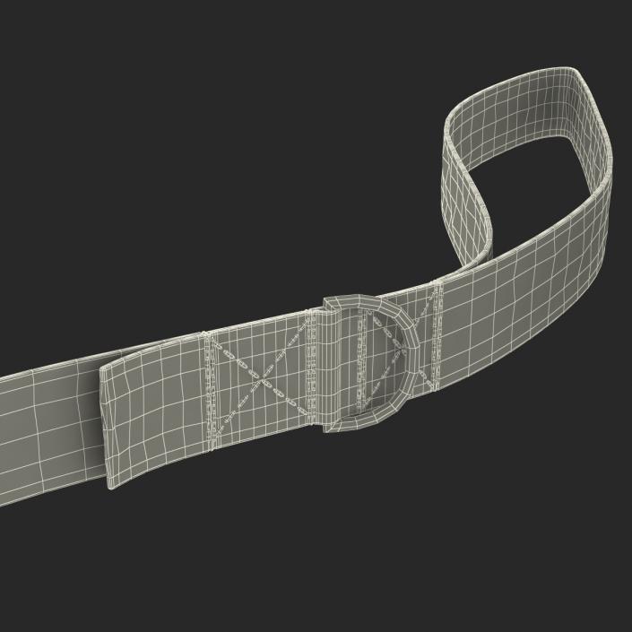 Dog Leash 3D model