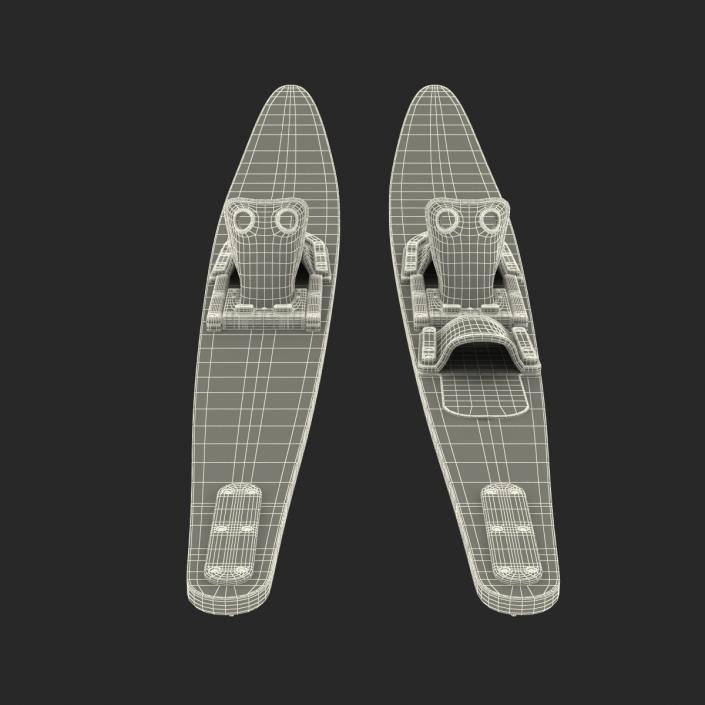 3D model Water Skis