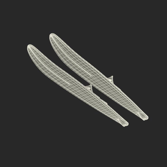 3D model Water Skis