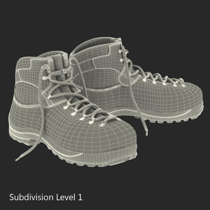 Hiking Boots 2 3D model