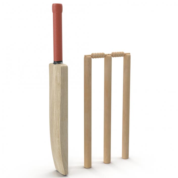 3D Cricket Collection model