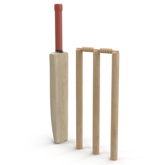 3D Cricket Collection model