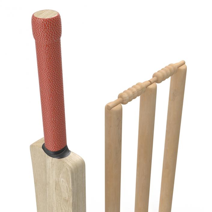 3D Cricket Collection model