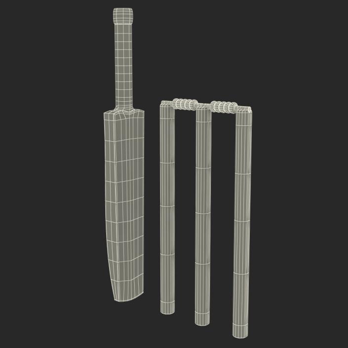 3D Cricket Collection model